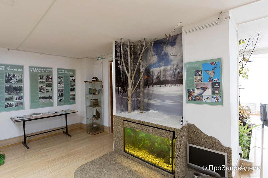 Музей природы Керженского заповедника