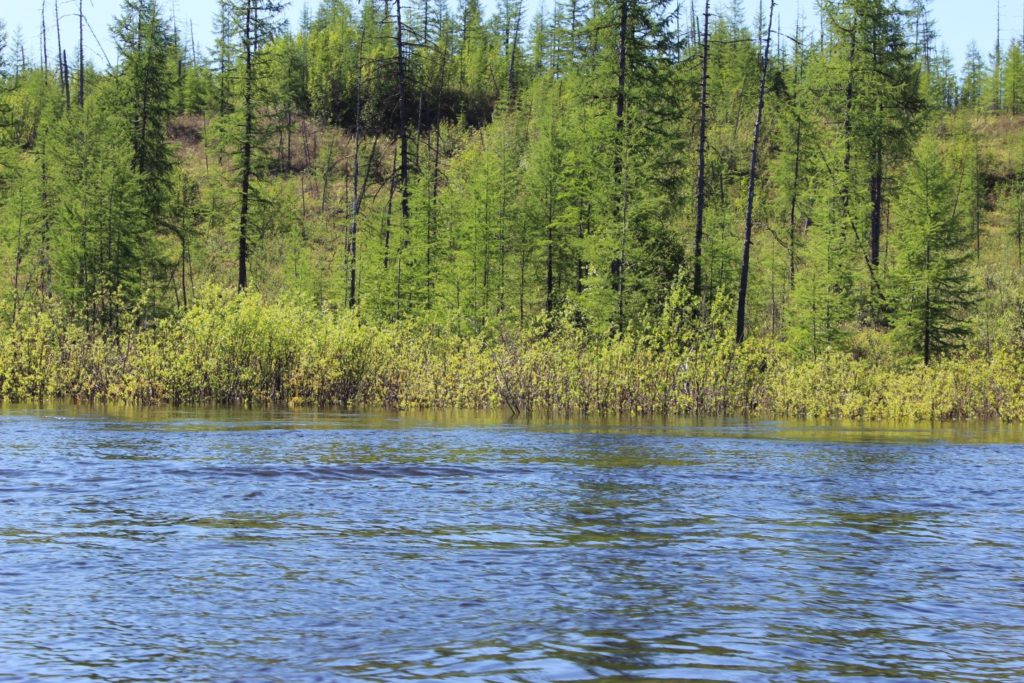 Озеро Виви в Эвенкии теперь охраняется государством